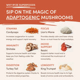 Vanilla + Mocha Superfood Creamer